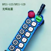 _b-BF21-12D/BF21-12S Yuding explosion proofremote controller